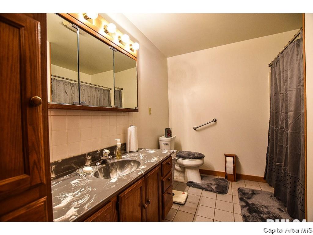 5130 Spaulding Orchard Road Chatham, IL 62629 - Photo 18 of 33