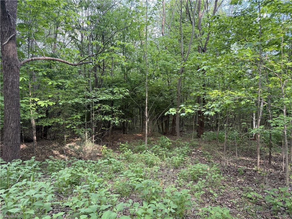 2690 Old Mountain Road Trinity, NC 27370 - Photo 10 of 16