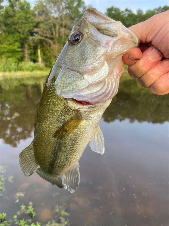 690 County Road Paris, TX 75462 - Photo 34 of 40