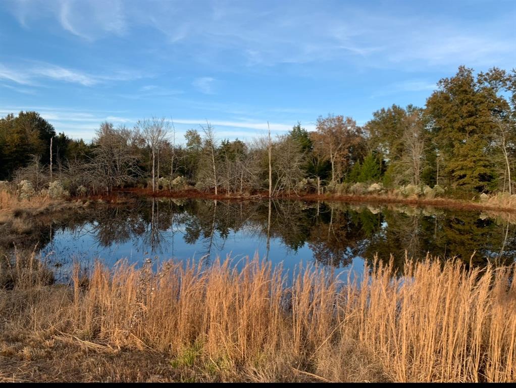 690 County Road Paris, TX 75462 - Photo 35 of 40 a view of a lake with houses