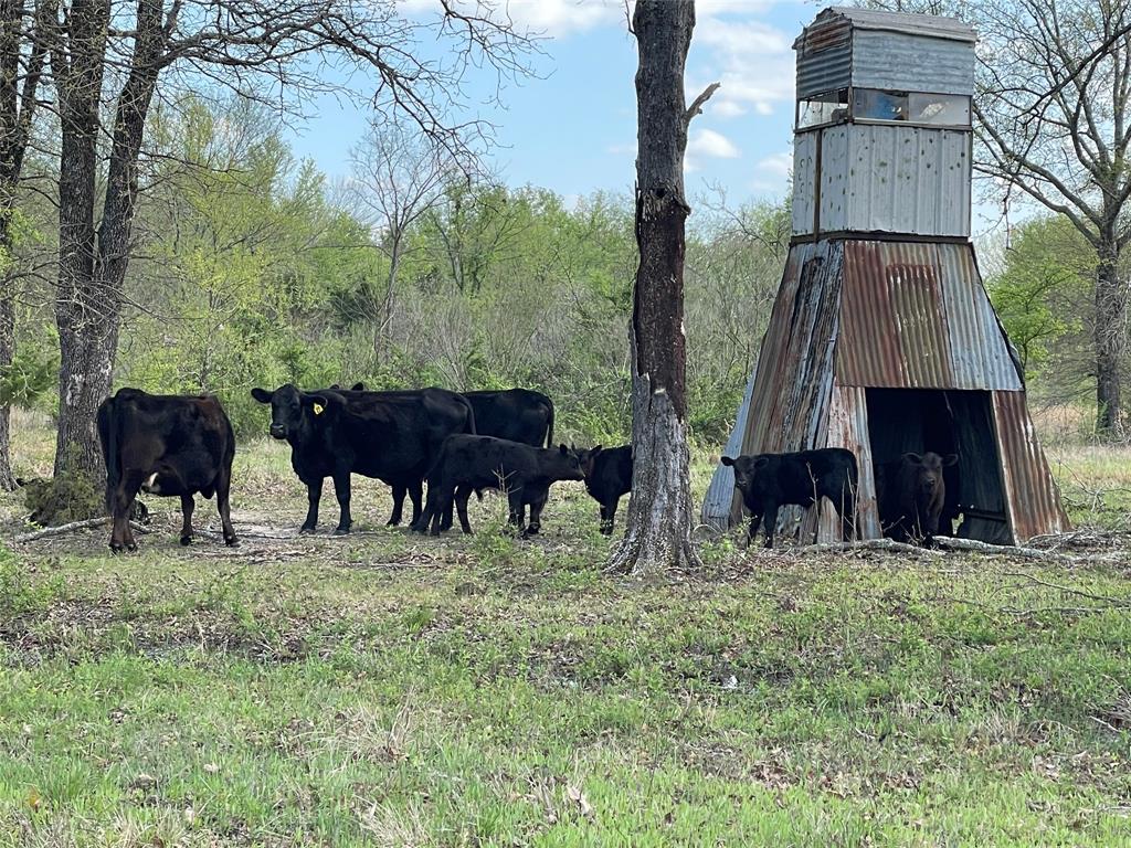 690 County Road Paris, TX 75462 - Photo 36 of 40 a view of two chairs and a table in a yard