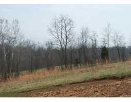 Sycamore Run La Grange, KY 40031 - Photo 1 of 1 Primary Photo