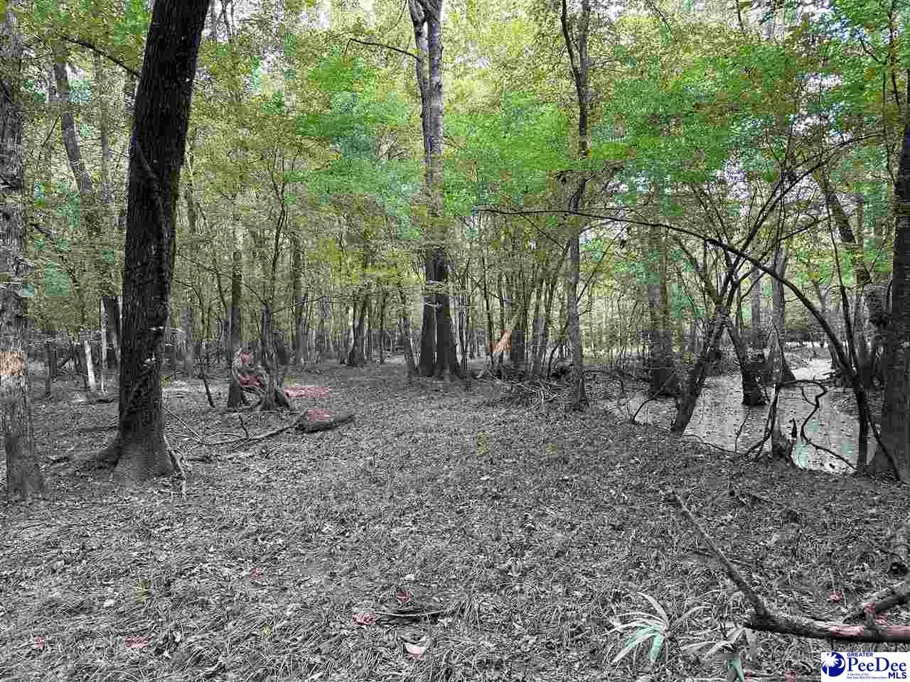 75-acres North Old Georgetown Road Coward, SC 29530 - Photo 21 of 27 Gallery Image 21