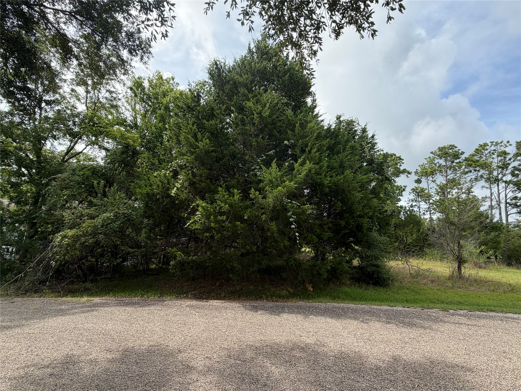 0 Timber Cove Coldspring, TX 77331 - Photo 5 of 13