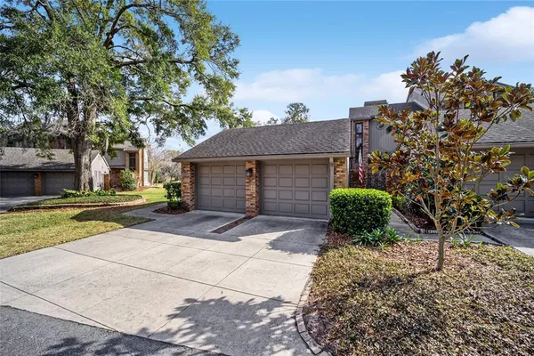 a view of a house with a yard potted plants and large tree