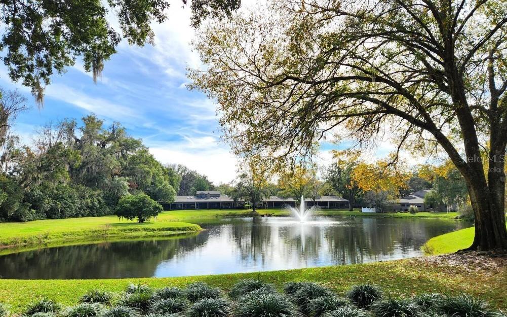 1731 Southeast Clatter Bridge Road Ocala, FL 34471 - Photo 51 of 52 a view of a lake with a house in the background
