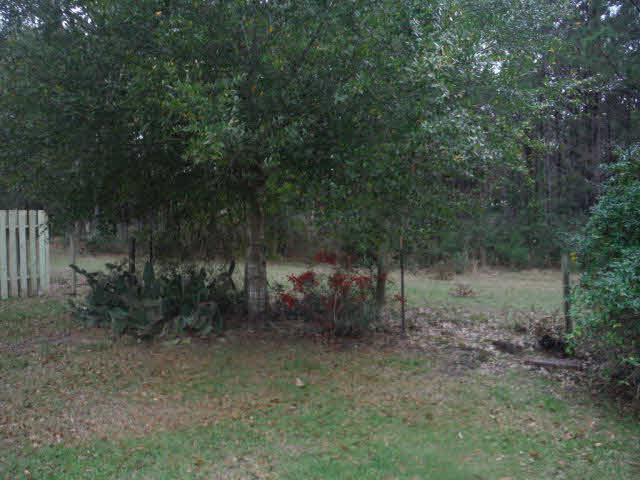 1220 Chagrin Drive Lillian, AL 36549 - Photo 16 of 22 Back yard
