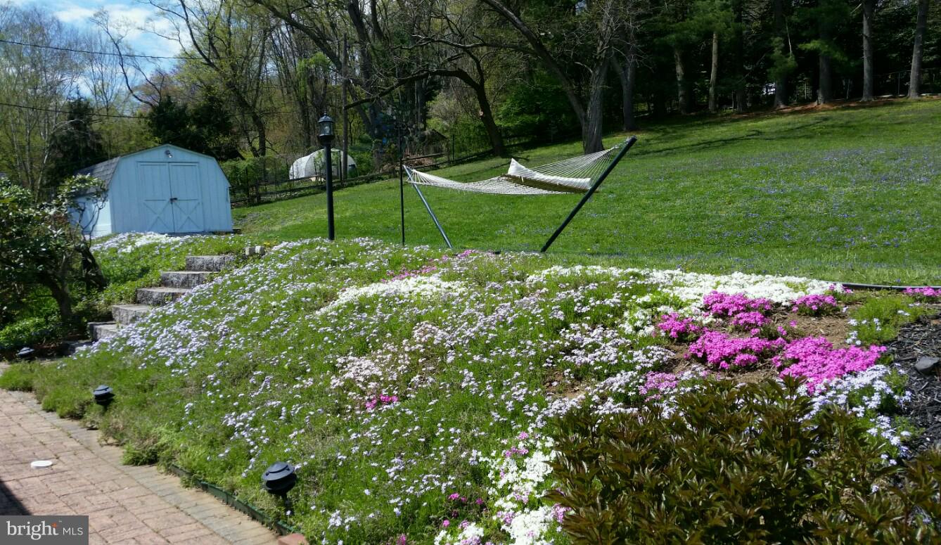 7 Hillendale Road Chadds Ford, PA 19317 - Photo 35 of 40 Beautiful hillside of phlox