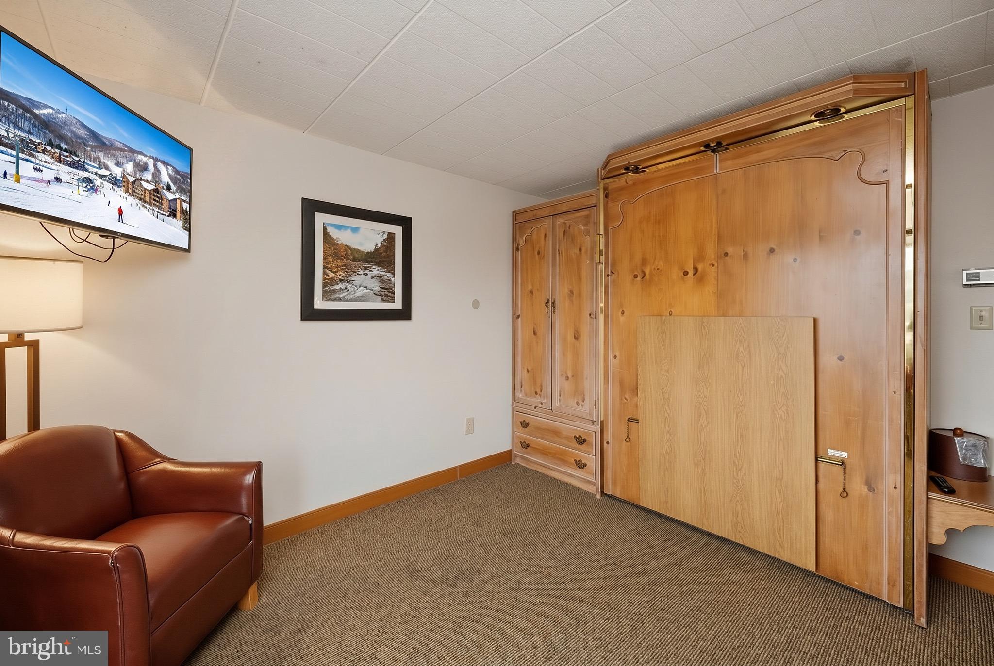 290 Marsh Hill Road, Unit 706 McHenry, MD 21541 - Photo 14 of 39