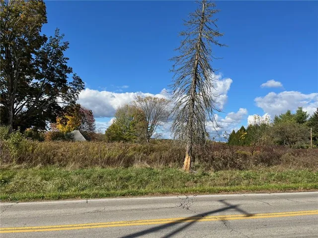 a ocean view with large trees