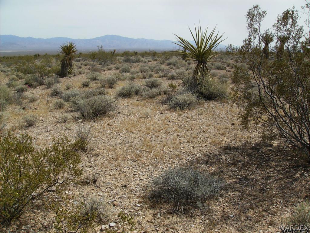 3448 Keystone Road Golden Valley, AZ 86413 - Photo 2 of 14 On the land