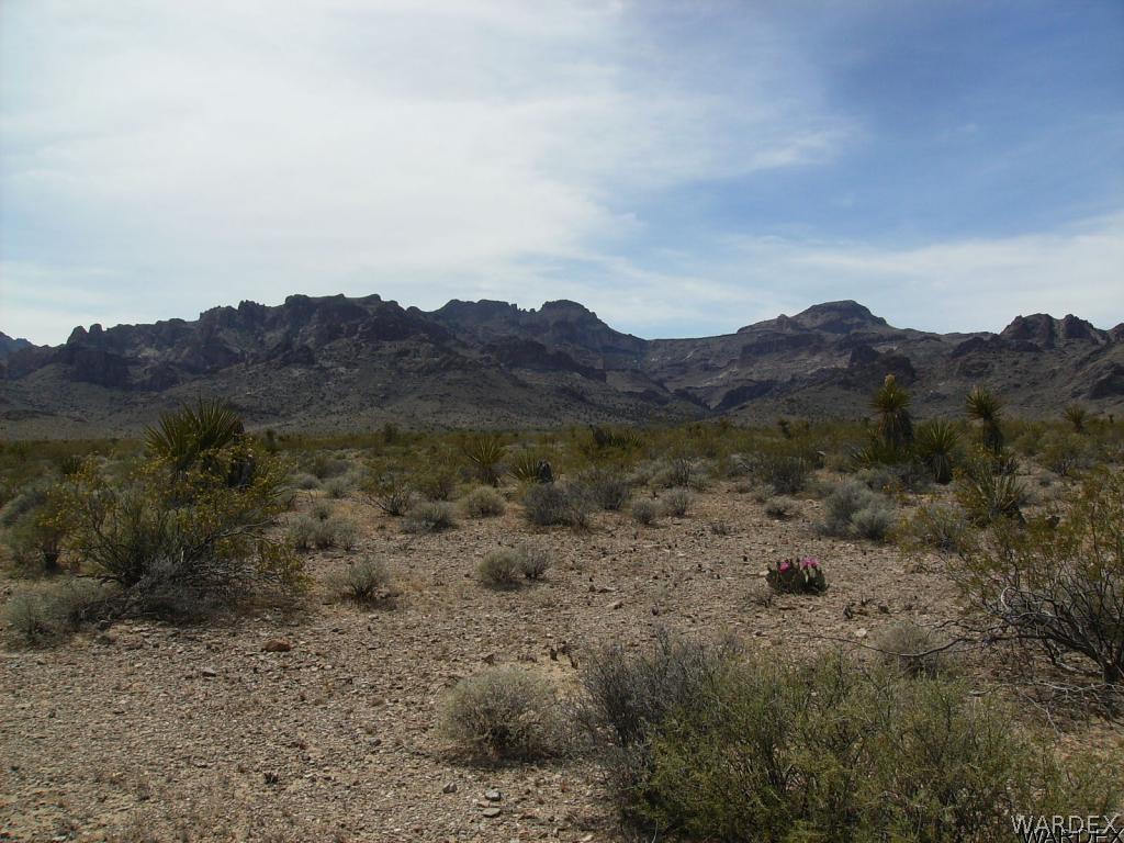 3448 Keystone Road Golden Valley, AZ 86413 - Photo 5 of 14 On parcel looking to Mr Nutt