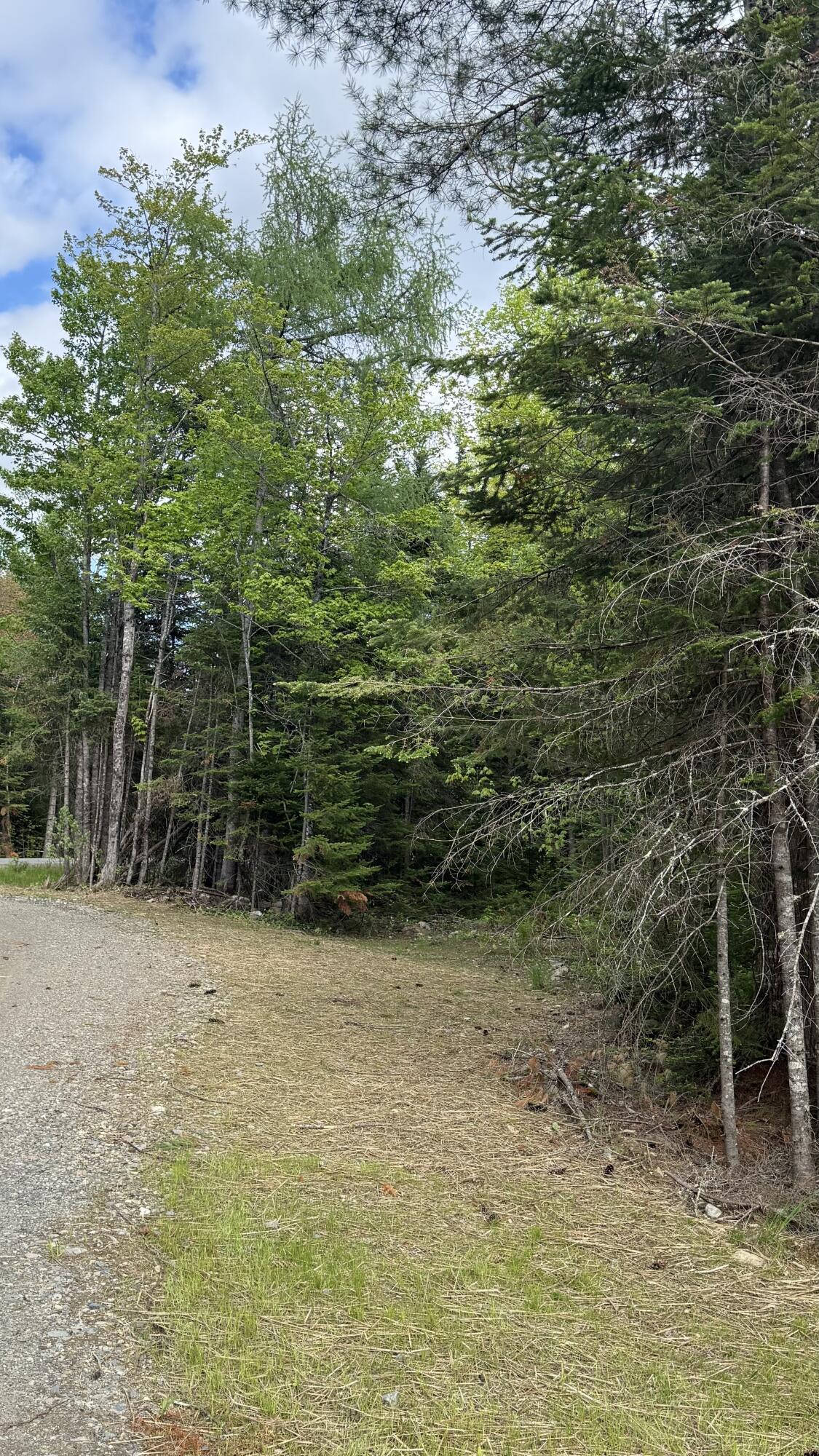 124 Goff Road Sangerville, ME 04479 - Photo 4 of 49