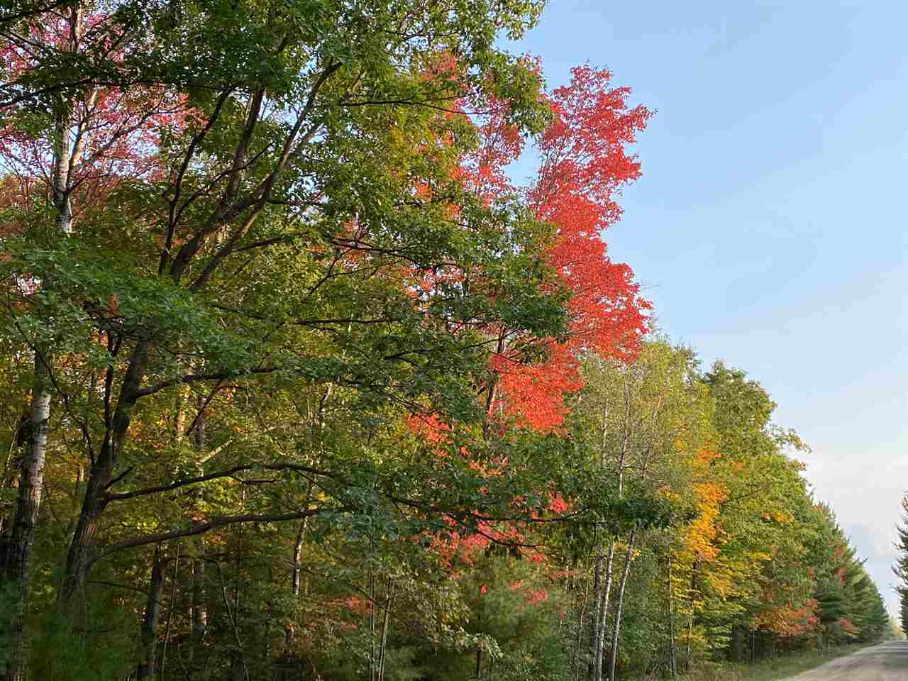 4950 Bensch Road Alger, MI 48610 - Photo 14 of 31 Gallery Image 14