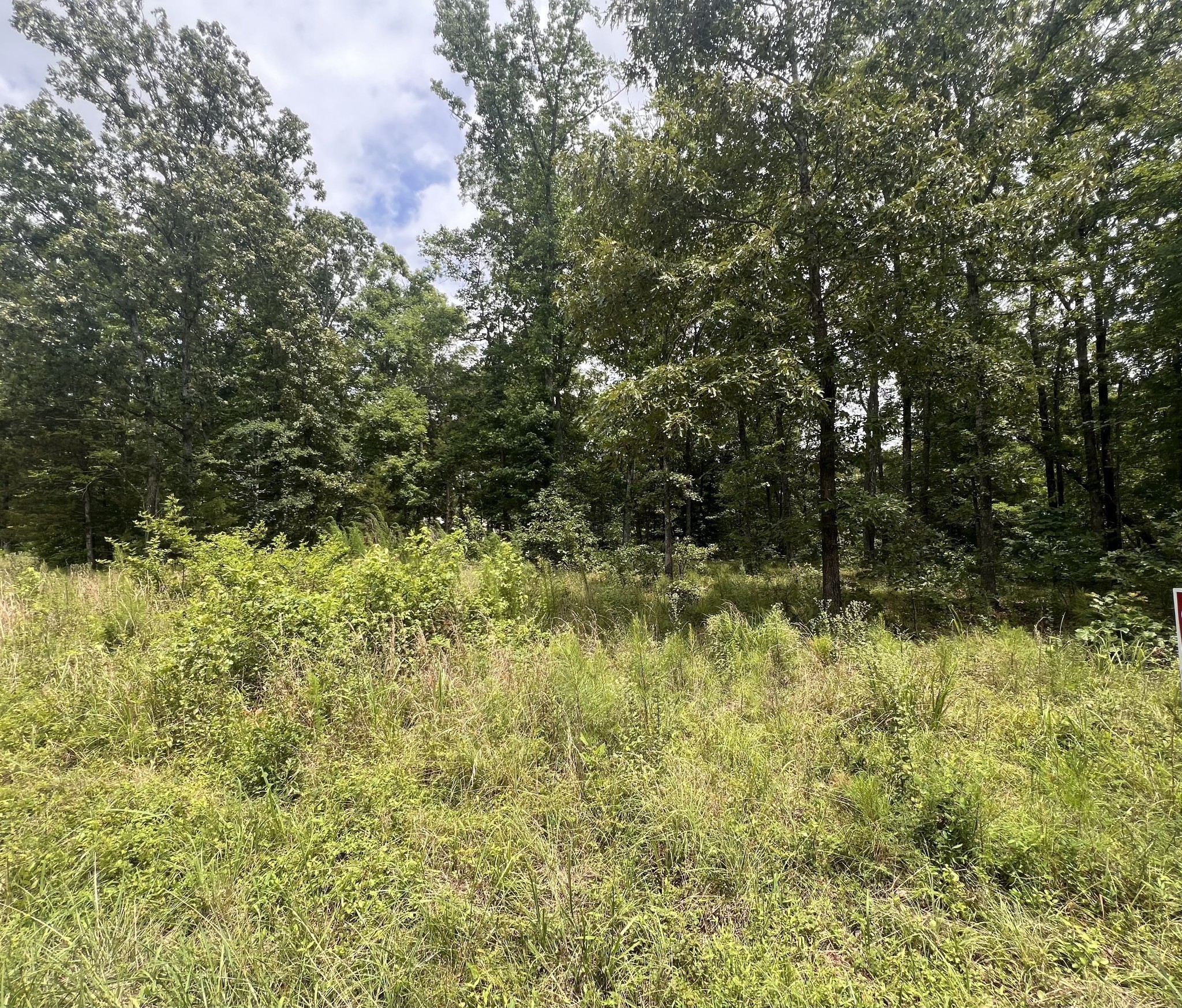 16 Lk Vw Road Linden, TN 37096 - Photo 3 of 8 a view of a lake view