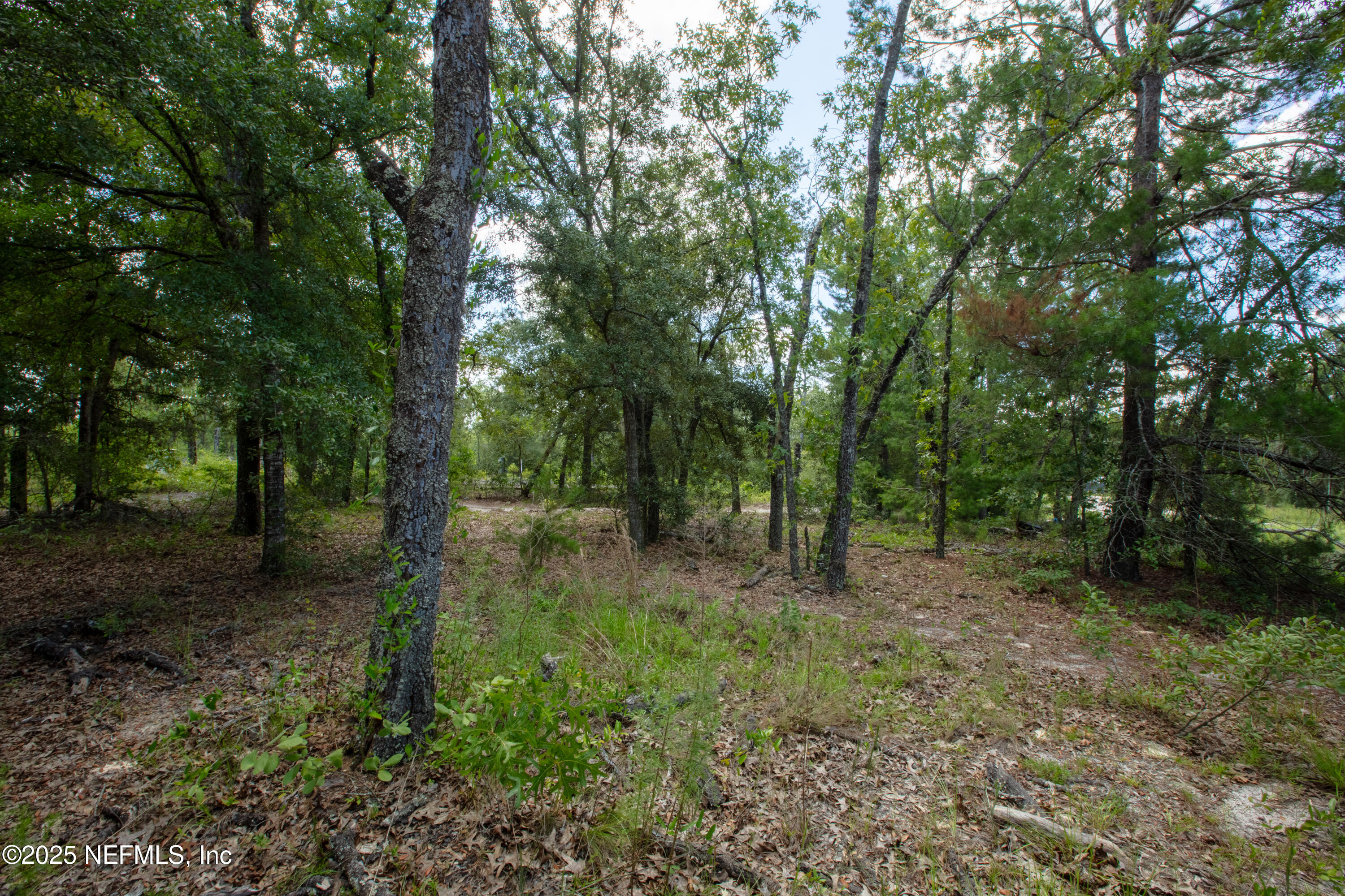6015 Oak Leaf Road Keystone Heights, FL 32656 - Photo 1 of 11 6015OakLeafMLS-13