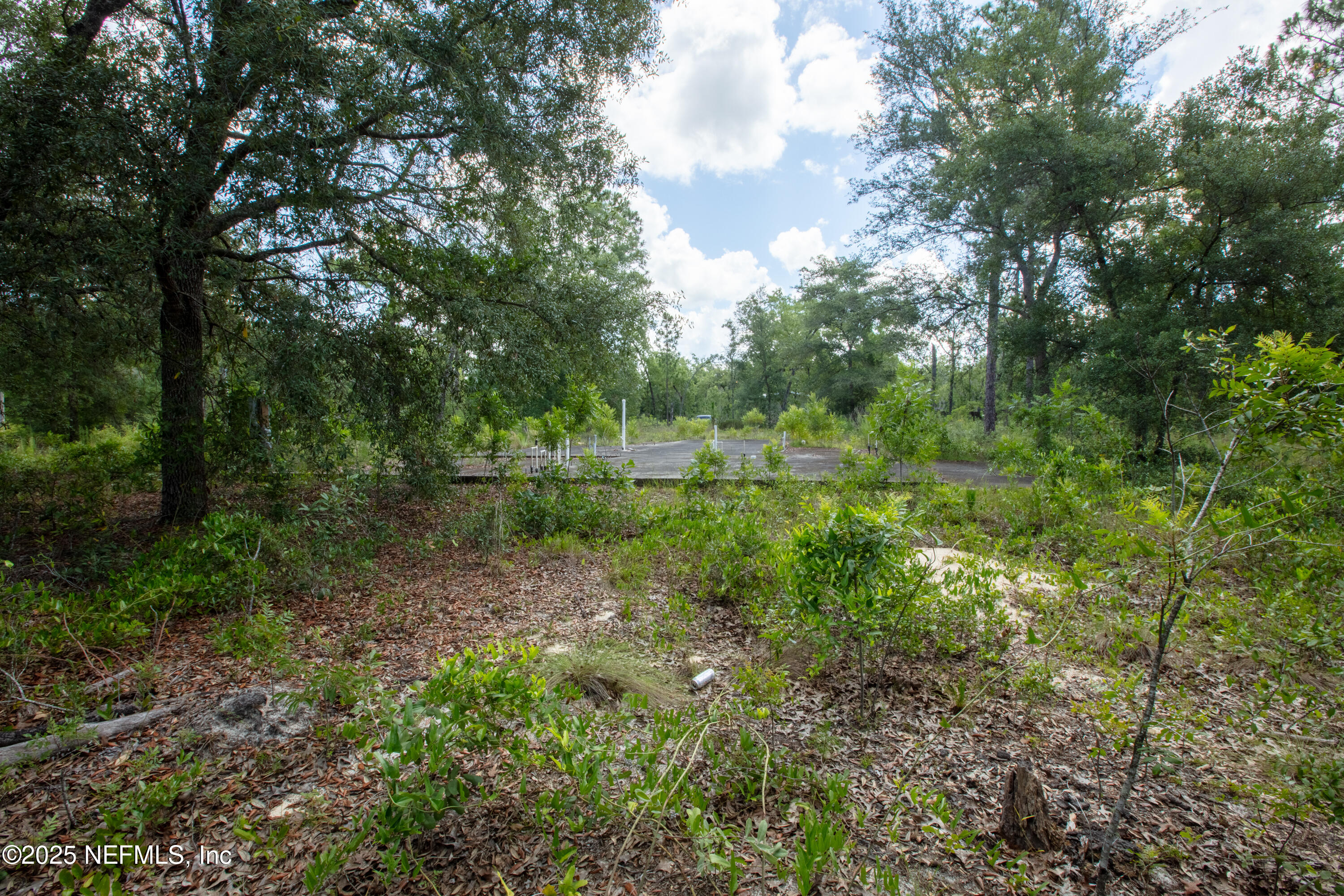 6015 Oak Leaf Road Keystone Heights, FL 32656 - Photo 3 of 11 6015OakLeafMLS-15