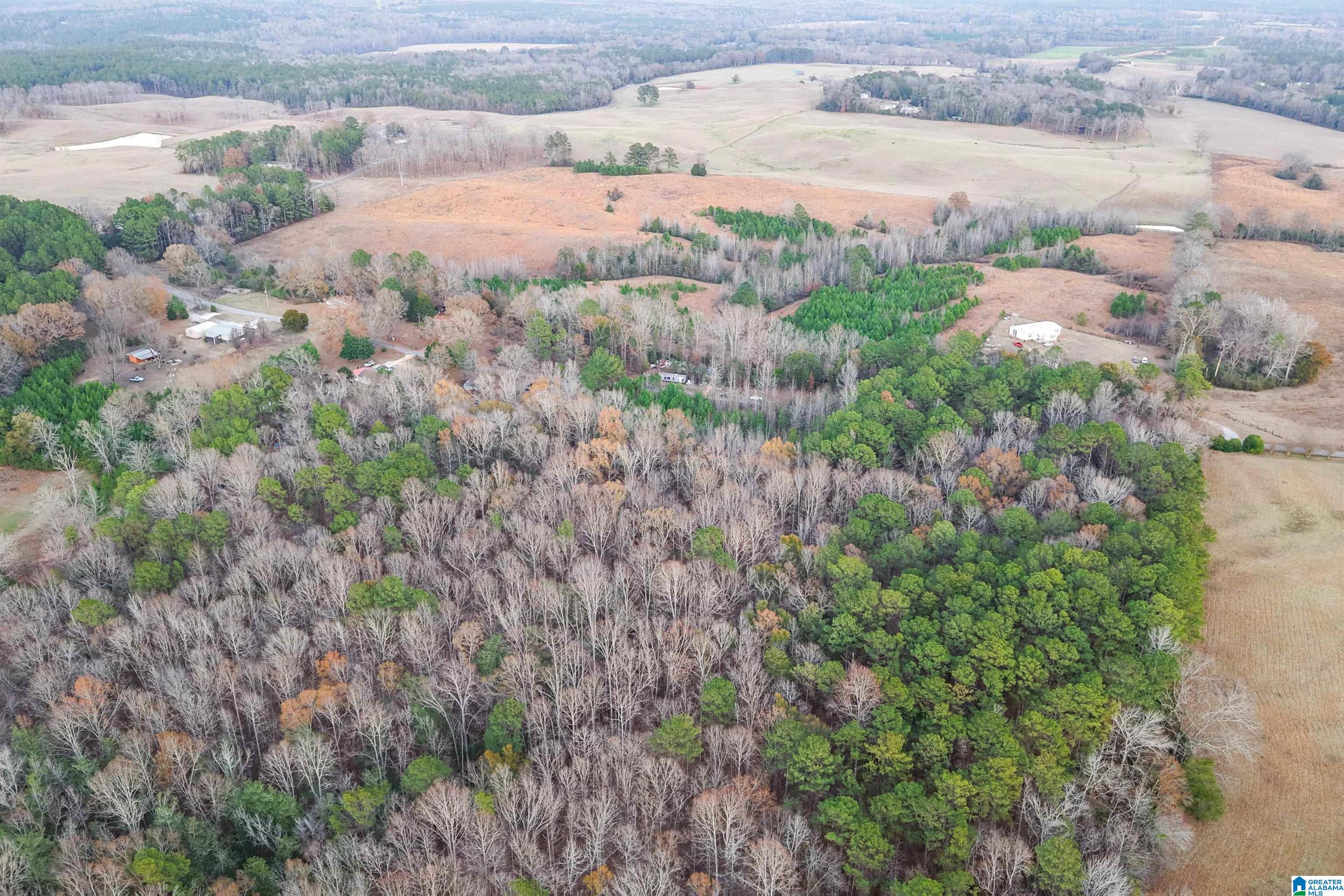 1830 Pine Tree Road Centreville, AL 35042 - Photo 7 of 11