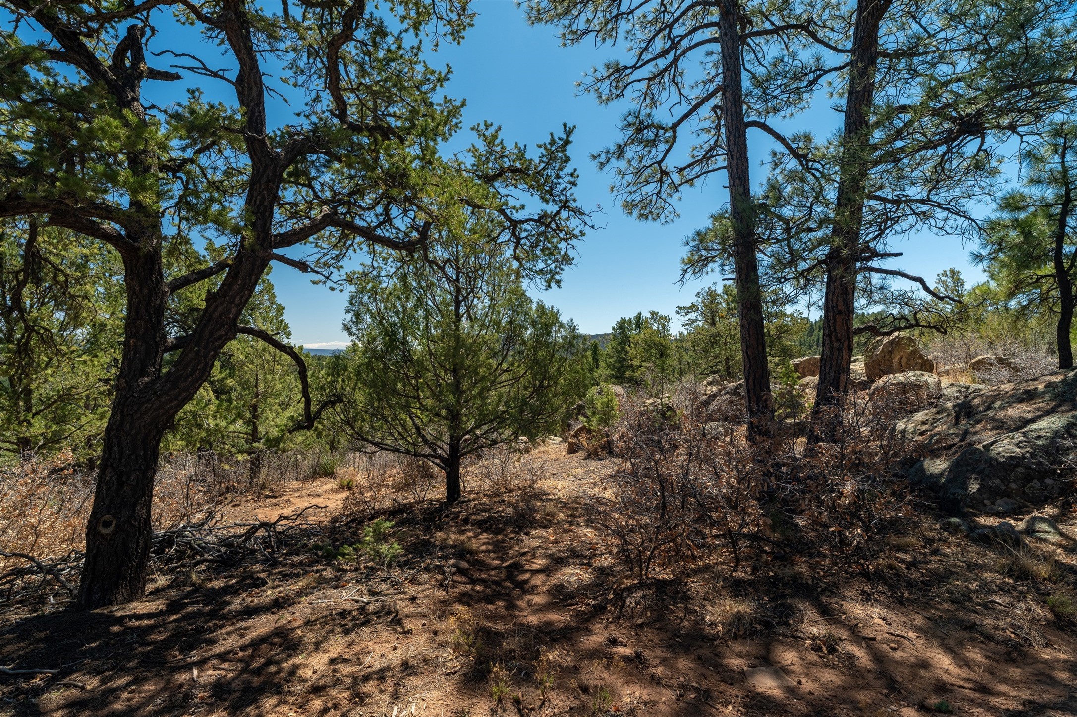 30 Monte La Cueva Road Glorieta, NM 87535 - Photo 70 of 91