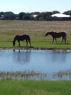 a view of a lake with a mountain in the background