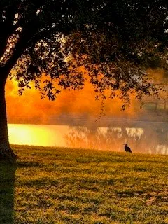 a view of an ocean and beach