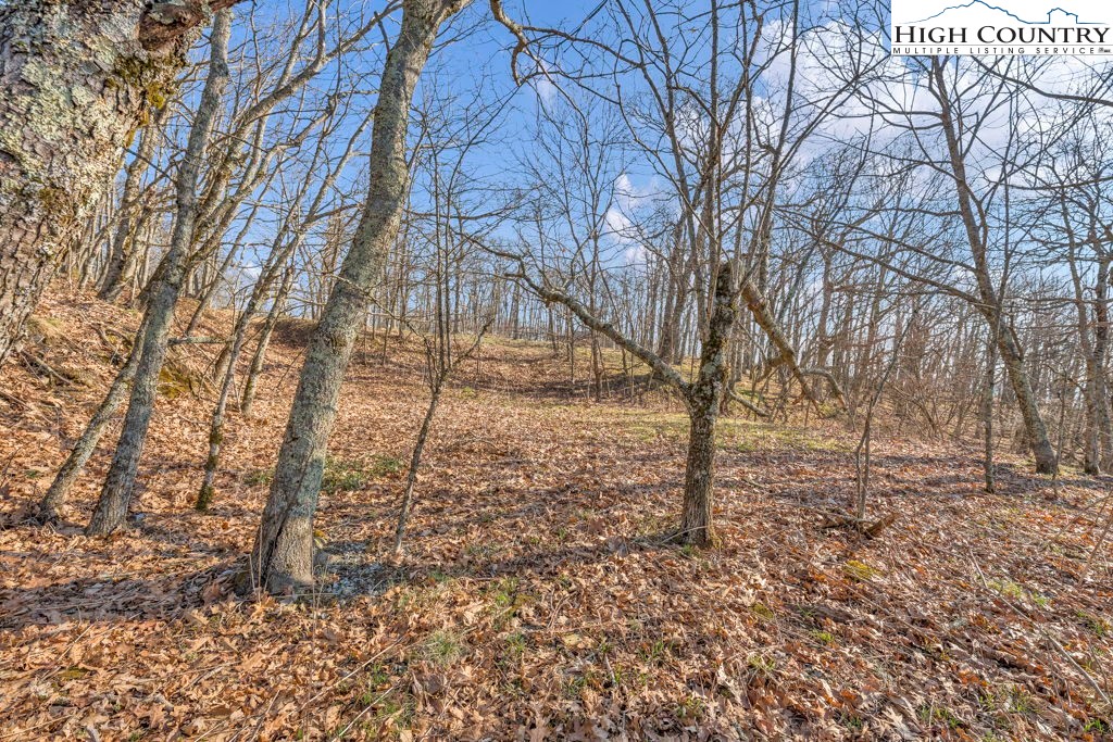 Lot E4-e5 Lot E4-e5 Firetower Road Vilas, NC 28692 - Photo 12 of 21