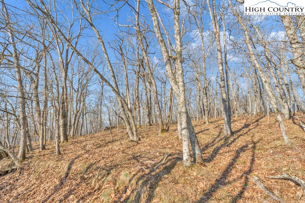 Lot E4-e5 Lot E4-e5 Firetower Road Vilas, NC 28692 - Photo 13 of 21