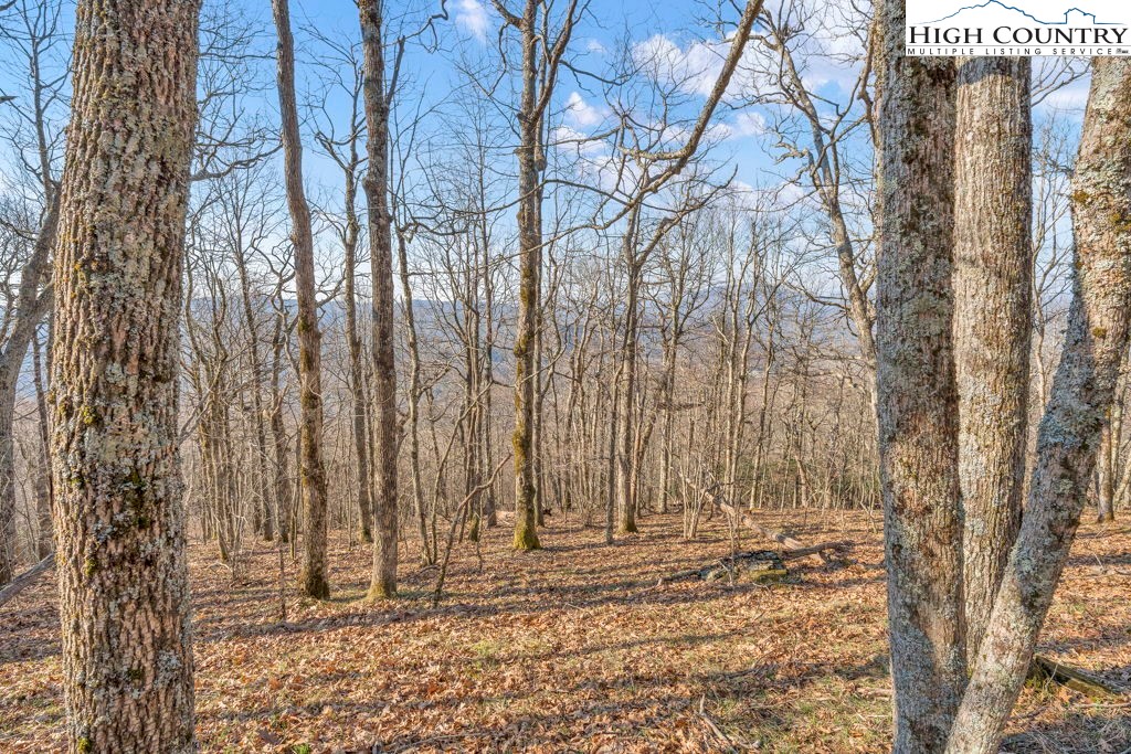 Lot E4-e5 Lot E4-e5 Firetower Road Vilas, NC 28692 - Photo 14 of 21