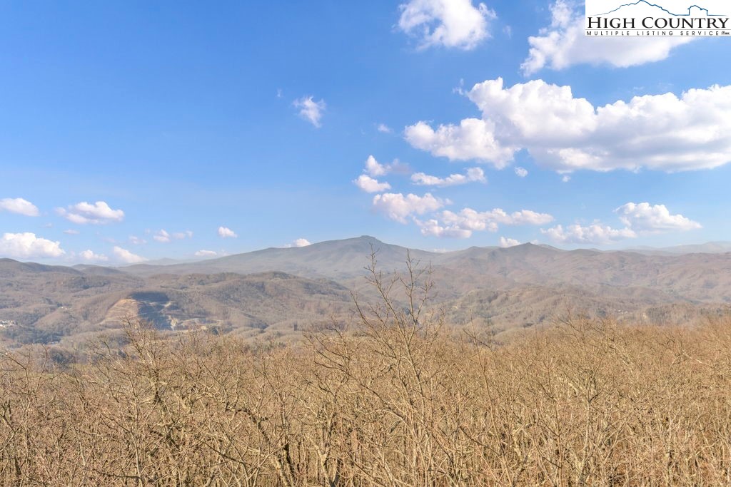 Lot E4-e5 Lot E4-e5 Firetower Road Vilas, NC 28692 - Photo 15 of 21