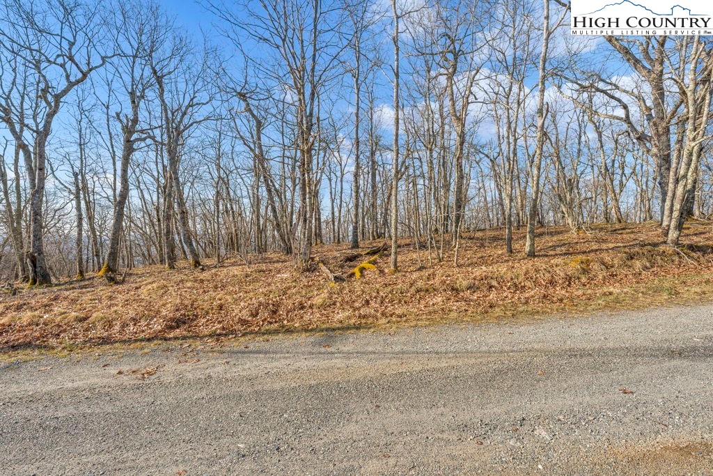 Lot E4-e5 Lot E4-e5 Firetower Road Vilas, NC 28692 - Photo 4 of 21
