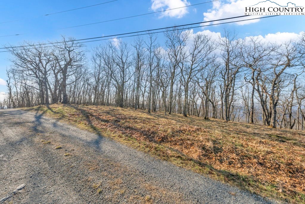 Lot E4-e5 Lot E4-e5 Firetower Road Vilas, NC 28692 - Photo 5 of 21