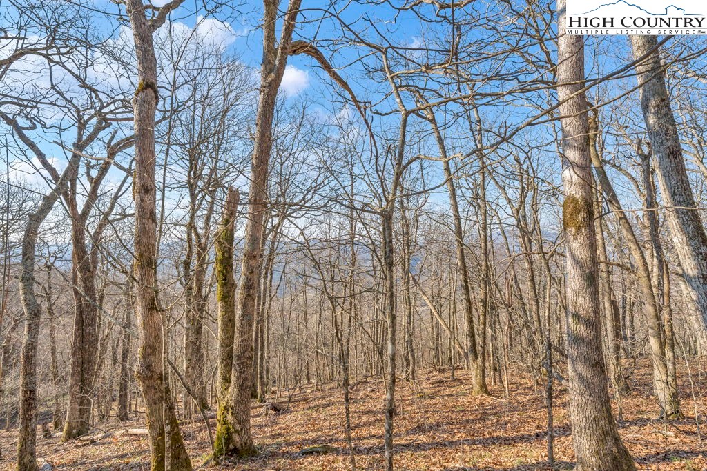 Lot E4-e5 Lot E4-e5 Firetower Road Vilas, NC 28692 - Photo 7 of 21