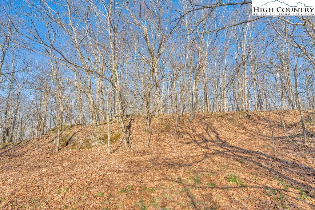 Lot E4-e5 Lot E4-e5 Firetower Road Vilas, NC 28692 - Photo 8 of 21