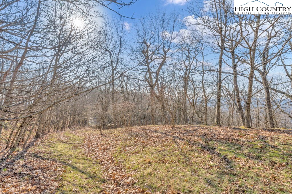 Lot E4-e5 Lot E4-e5 Firetower Road Vilas, NC 28692 - Photo 9 of 21