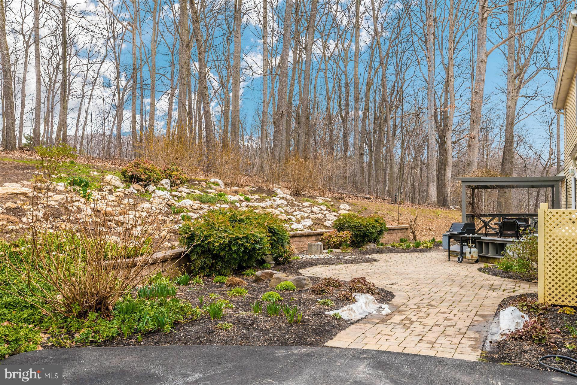 4230 Basford Road Frederick, MD 21703 - Photo 8 of 30 a view of a backyard with pathway
