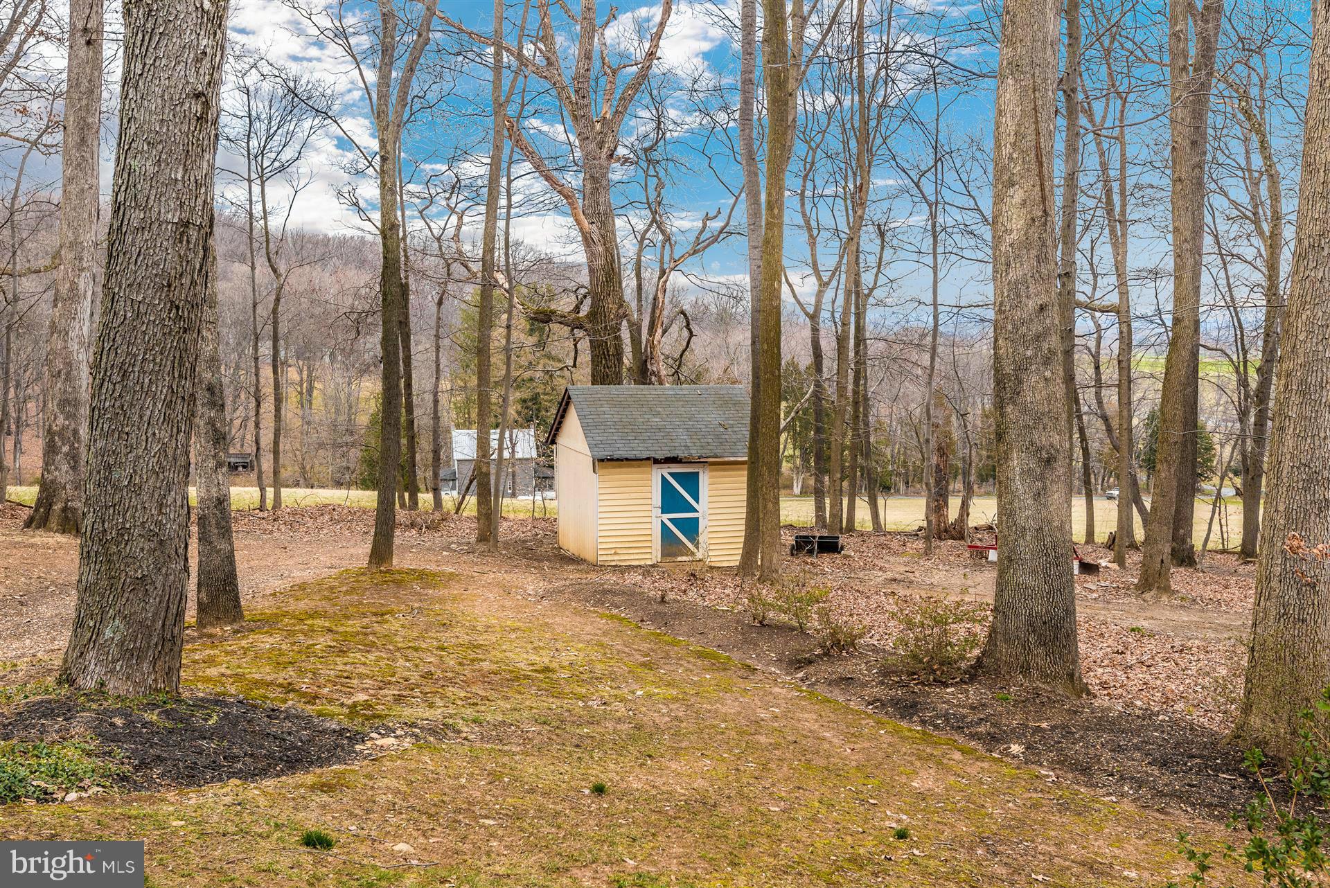 4230 Basford Road Frederick, MD 21703 - Photo 10 of 30 a house with trees in front of it