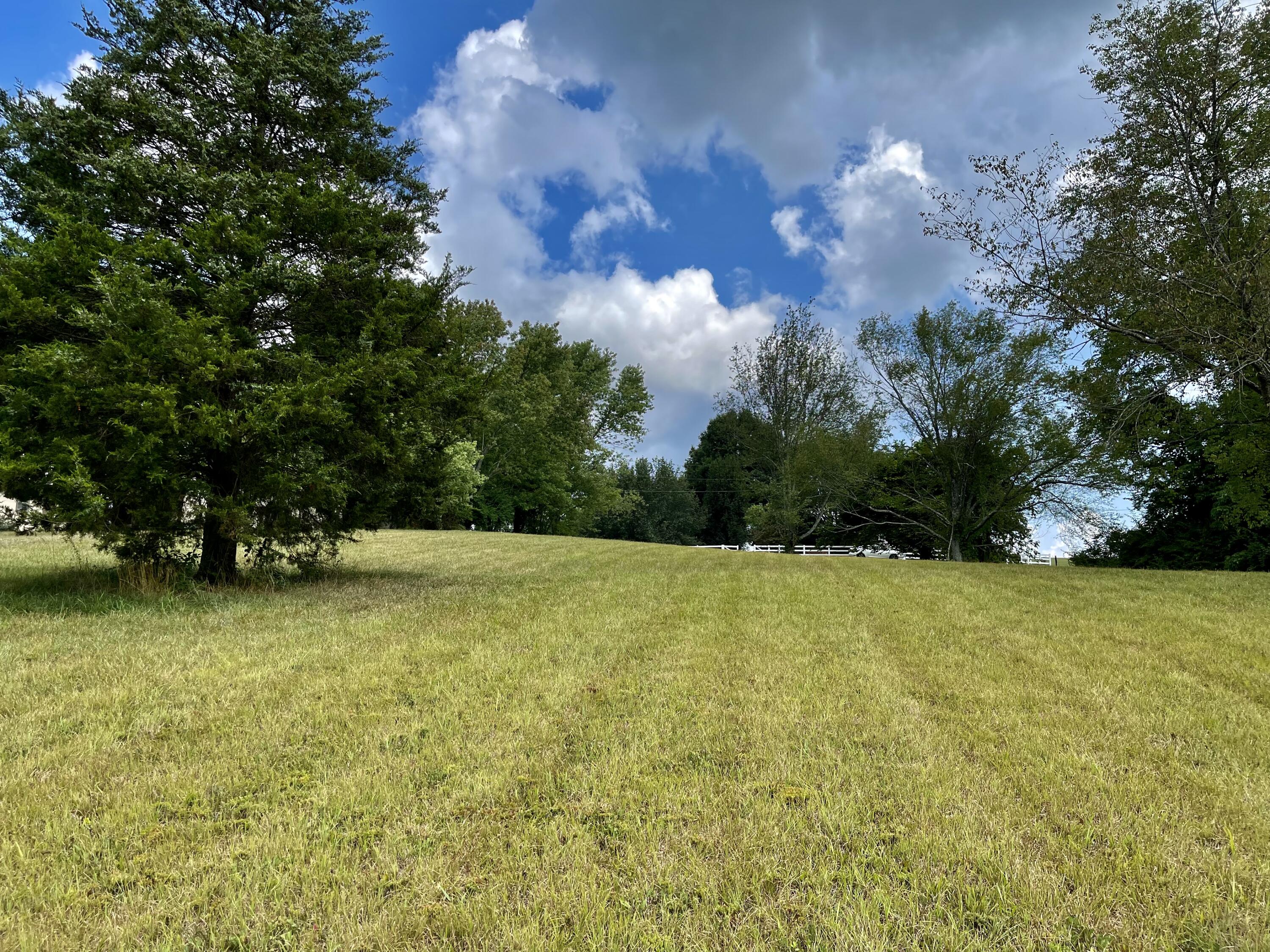 1 Vine Road Morristown, TN 37813 - Photo 14 of 20 IMG_E4951