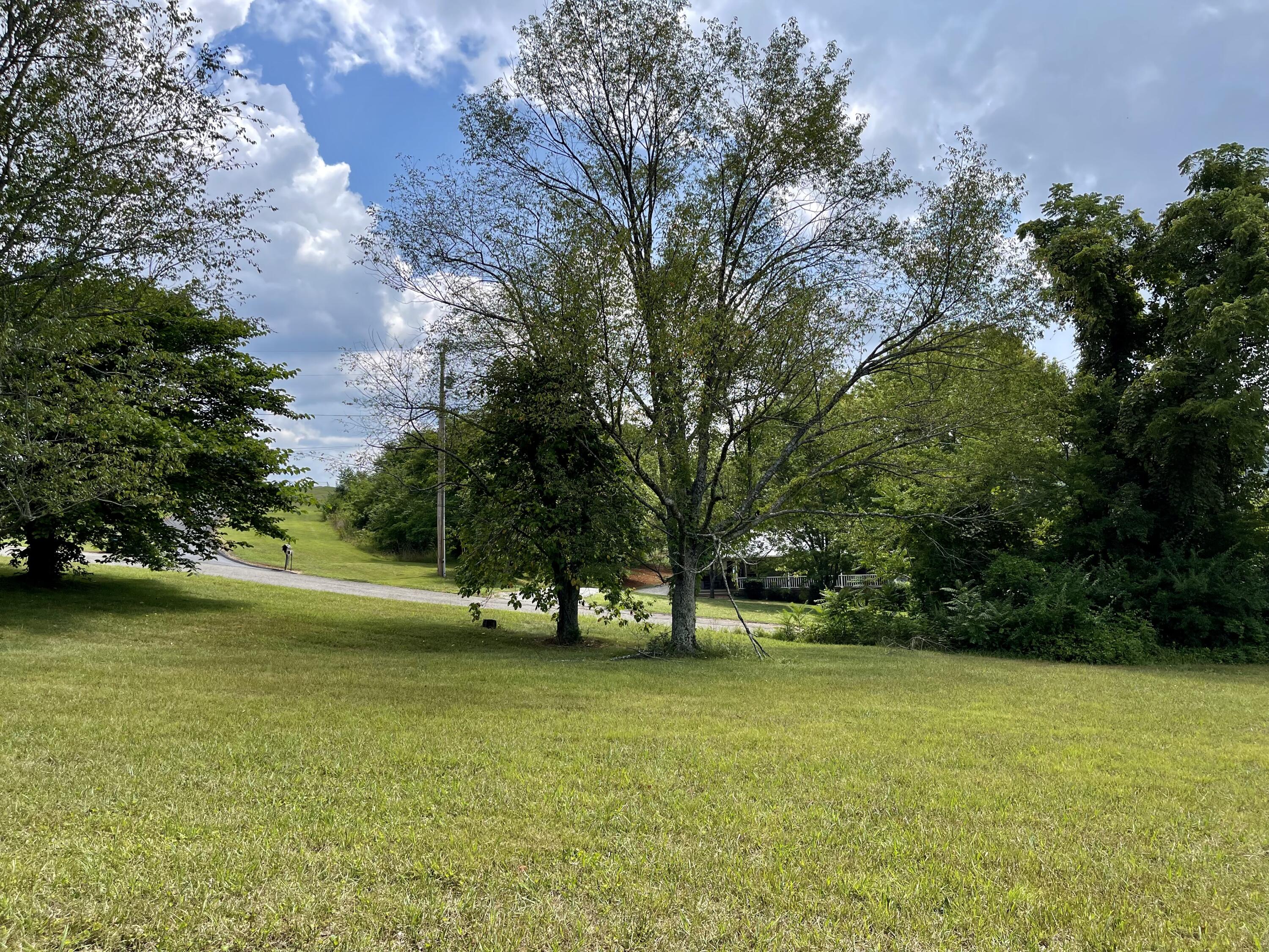 1 Vine Road Morristown, TN 37813 - Photo 15 of 20 IMG_E4944