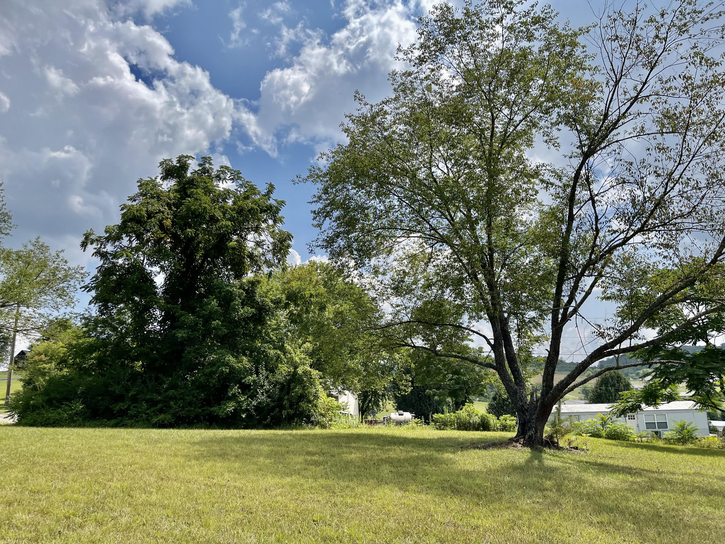 1 Vine Road Morristown, TN 37813 - Photo 16 of 20 IMG_E4948