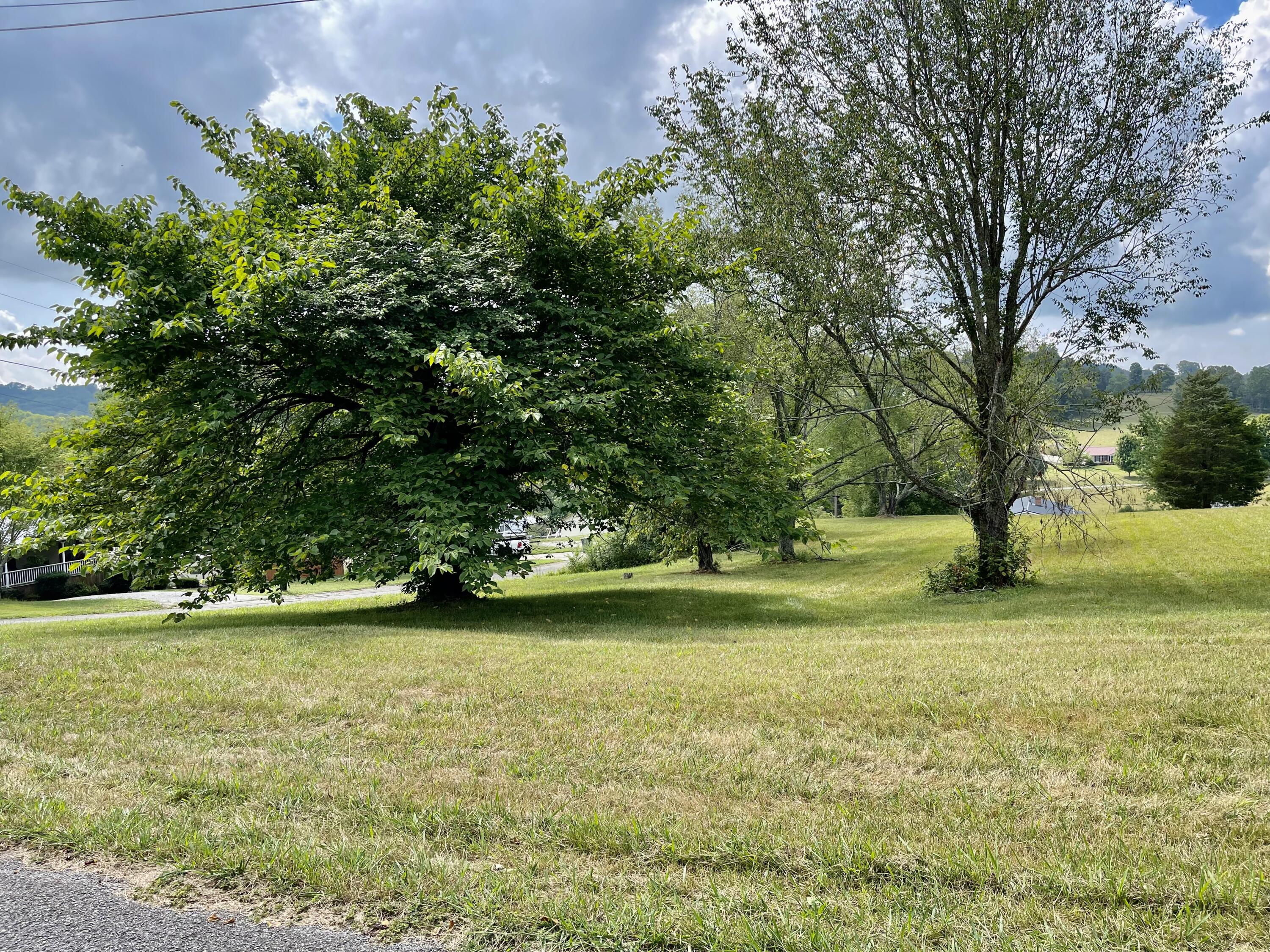 1 Vine Road Morristown, TN 37813 - Photo 7 of 20 IMG_E4941