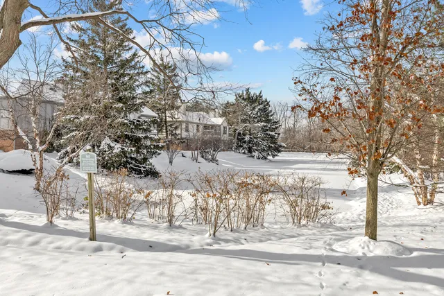 a view of a yard covered with snow