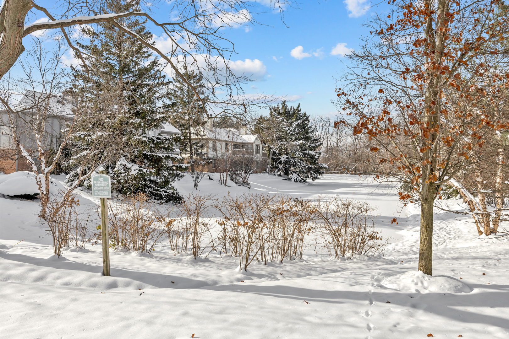 1907 Gresham Circle, Unit D Wheaton, IL 60189 - Photo 24 of 26 a view of a yard covered with snow