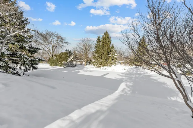 a view of a yard covered with snow