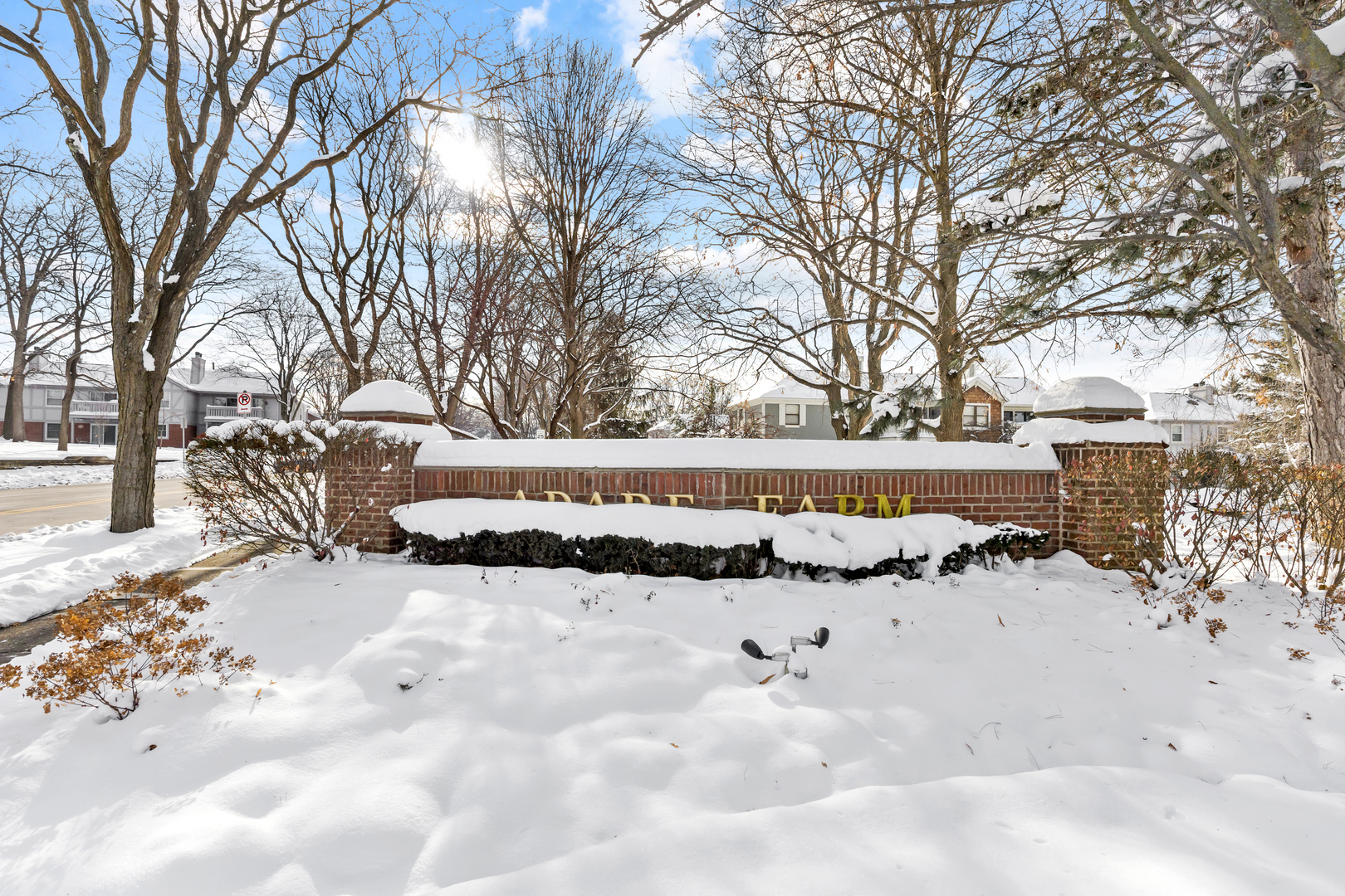 1907 Gresham Circle, Unit D Wheaton, IL 60189 - Photo 26 of 26 a view of snow on the road