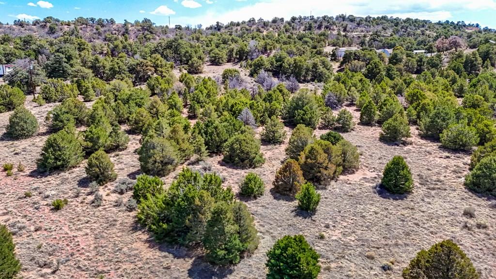 Lot 79 Navajo Ranch Walsenburg, CO 81089 - Photo 5 of 5