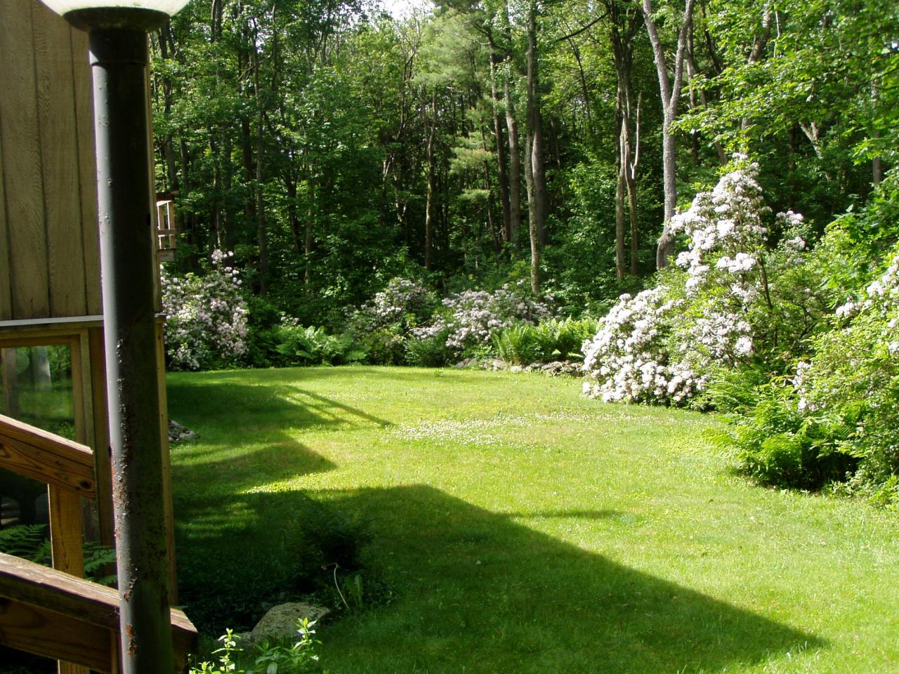 38 Rood Hill Road Sandisfield, MA 01255 - Photo 11 of 25 a view of a golf course with a garden