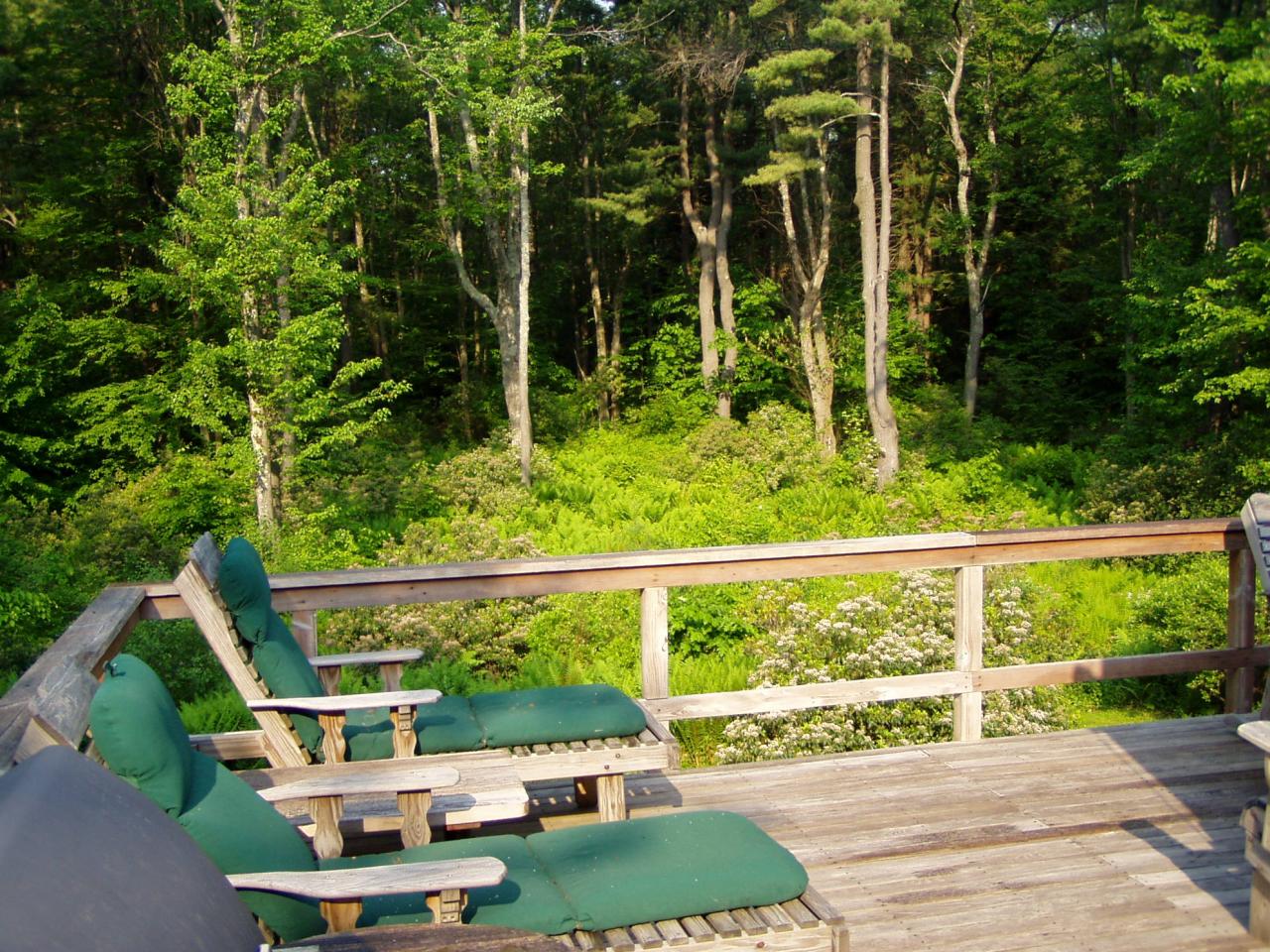 38 Rood Hill Road Sandisfield, MA 01255 - Photo 16 of 25 a view of a yard with plants