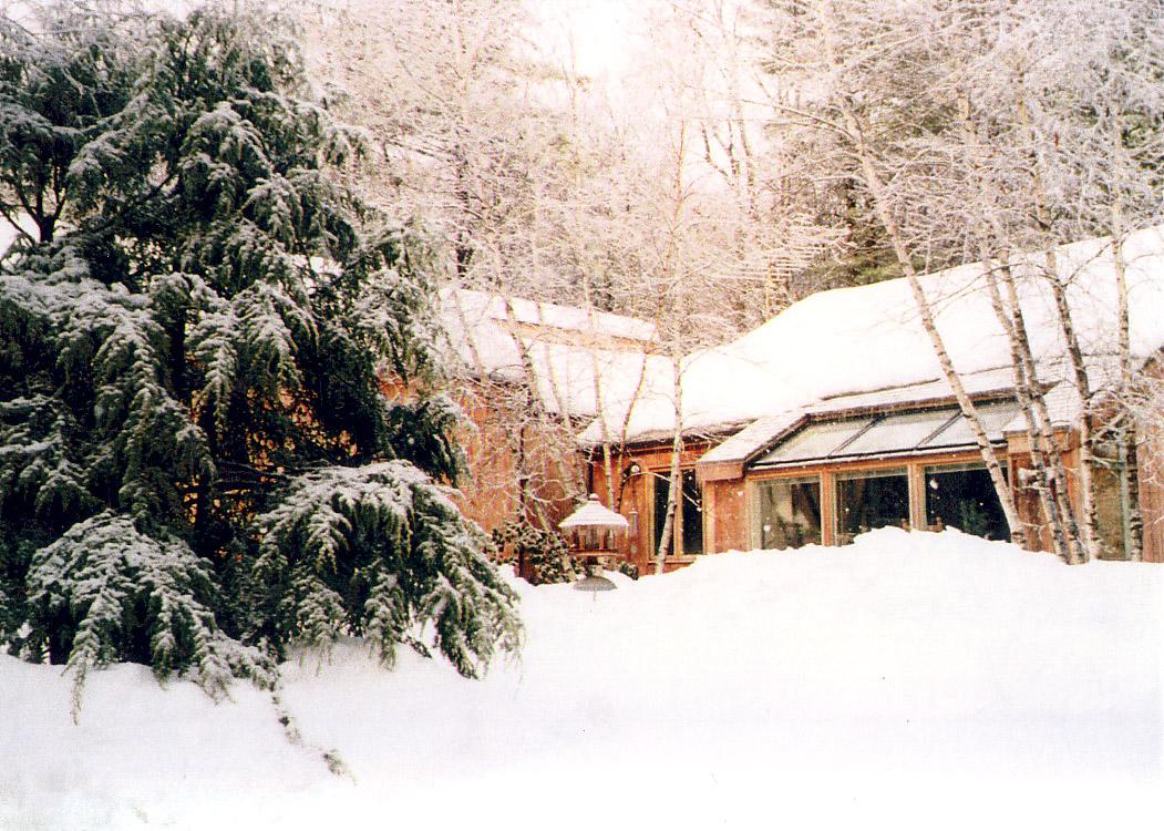 38 Rood Hill Road Sandisfield, MA 01255 - Photo 5 of 25 a view of outdoor space yard and tree
