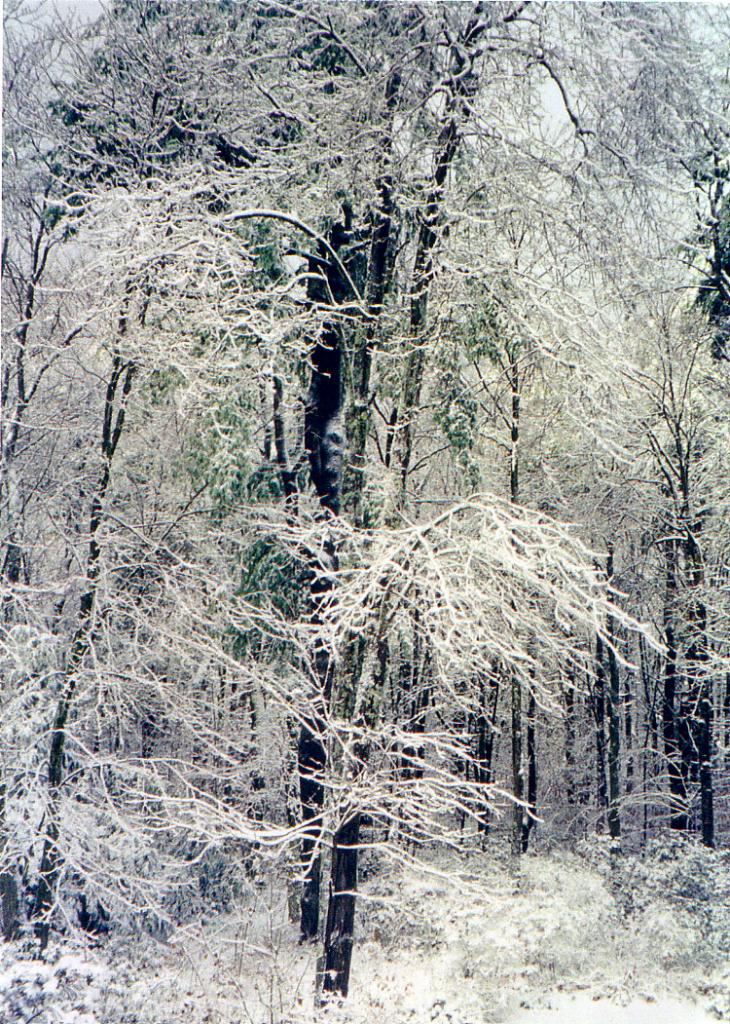 38 Rood Hill Road Sandisfield, MA 01255 - Photo 6 of 25