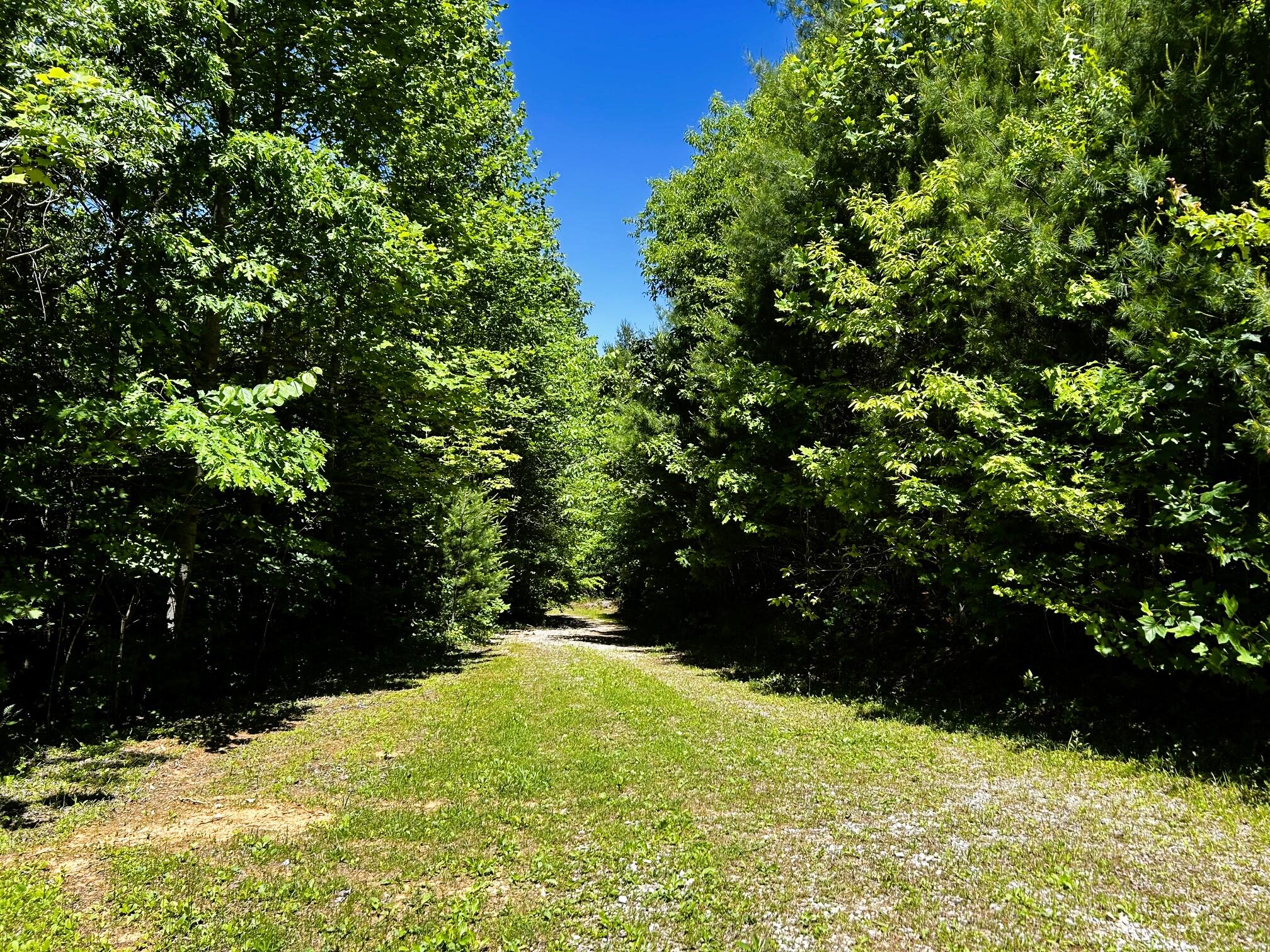 161 Willie Shell Road Reliance, TN 37369 - Photo 50 of 70 willie workshop driveway